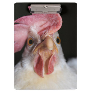 Hen Klembord