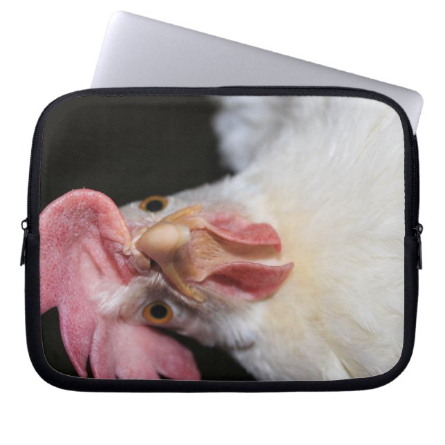 Hen Laptop Sleeve (Voorkant)
