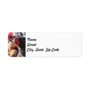 Hen met Attitude - Return Address Labels