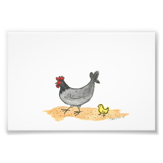 HEN MET CHICK FOTO AFDRUK (Voorkant)