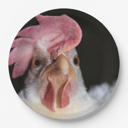 Hen Papieren Bordje (Voorkant)