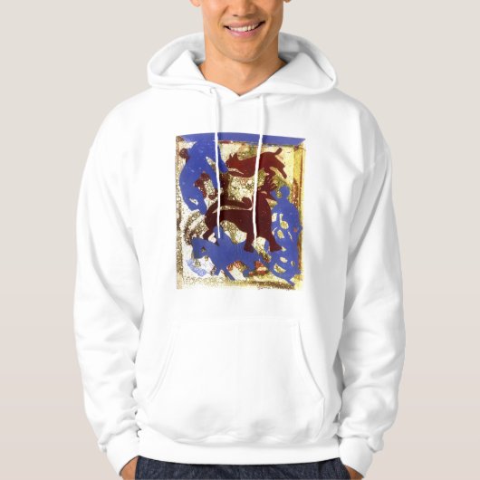 Hen Party Hoodie (Voorkant)