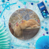 Hen Party Paper-Bord Papieren Bordje (Feest)