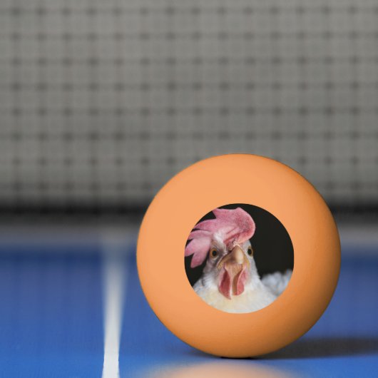 Hen Pingpongbal (Net)
