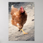 Hen Poster (Voorkant)