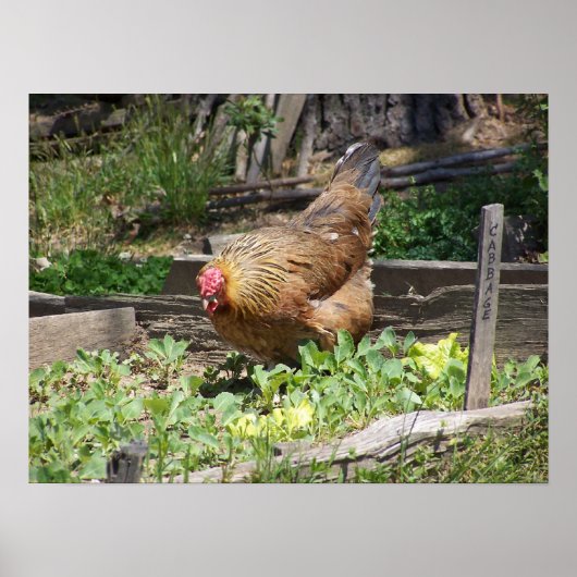 Hen poster (Voorkant)