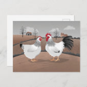 Hen & Rooster Briefkaart (Voorkant / Achterkant)