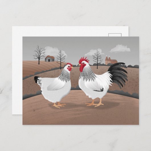 Hen & Rooster Briefkaart (Voorkant / Achterkant)