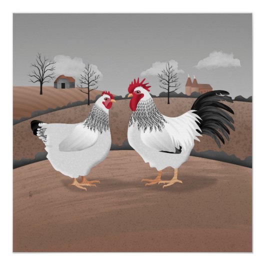 Hen & Rooster Perfect Poster (Voorkant)
