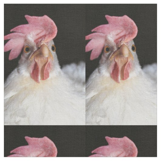 Hen Stof (Close Up)
