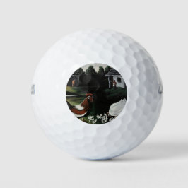 Hen with her Chicks in a Rural Farmyard Landscape Golfballen