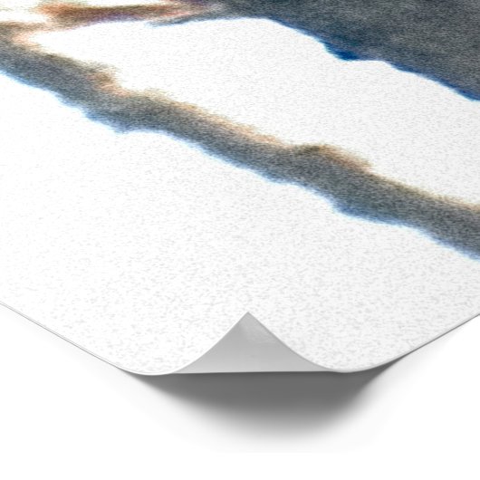 Hen Woodduck Poster (Hoek)