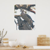 Hen Woodduck Poster (Keuken)