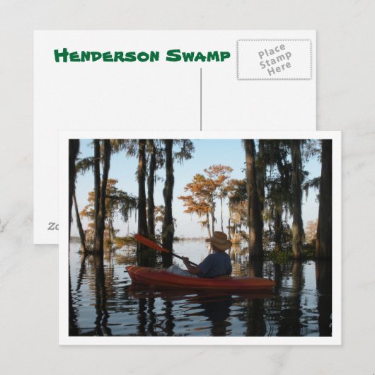 Henderson Swamp Briefkaart (Voorkant / Achterkant)