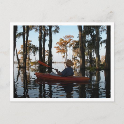 Henderson Swamp Briefkaart (Voorkant)