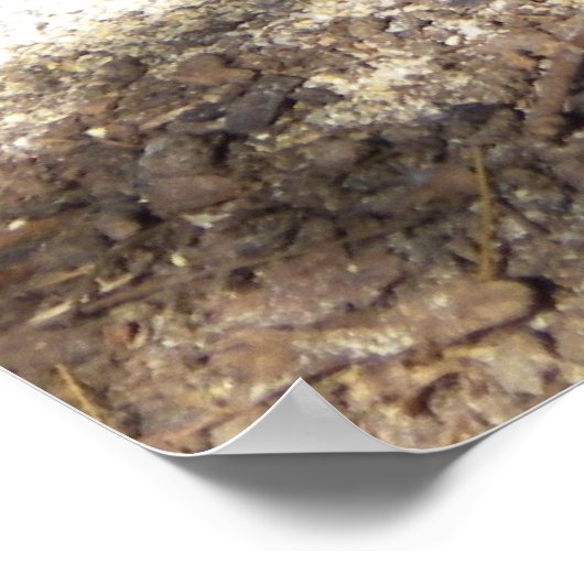 Henen en Baby Poster (Hoek)