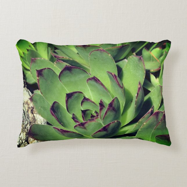 Henen en kippen, gehakt accent kussen (Voorkant)