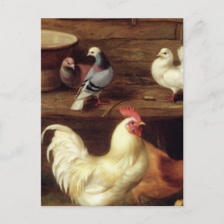Henen en kippen met duiven, boerderijdieren briefkaart