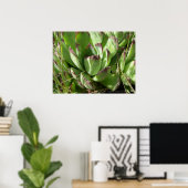 Henen en kuikens (Sempervivum) Poster (Thuiskantoor)