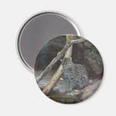 hengelmagneet magneet (Voorkant / Achterkant)