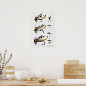 hengelvisserijmaatregelen poster (Keuken)