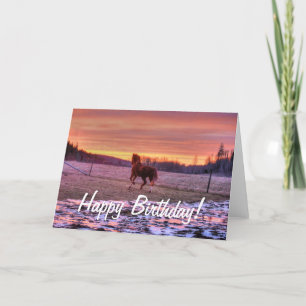 Hengst die naar huis bij Zonsondergang op Kaart