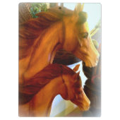 hengst en pony klembord (Achterkant)
