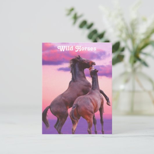 Hengsten spelen Briefkaart (Staand voorkant)