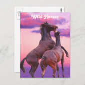 Hengsten spelen Briefkaart (Voorkant / Achterkant)