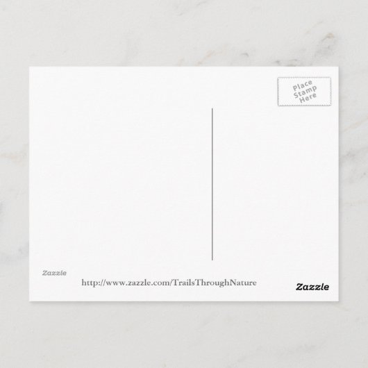 Hengsten spelen Briefkaart (Achterkant)