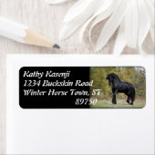 hengstenstrut etiket (Insitu)