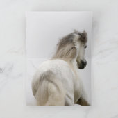 Hengst's Glory Horse Wenskaart Kaart (Binnen)