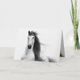 Hengst's Glory Horse Wenskaart Kaart