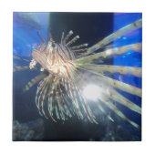 Hennepvis Tegeltje (Voorkant)