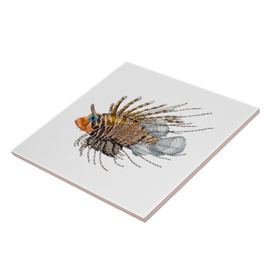 Hennepvis Tegeltje (Zijkant)