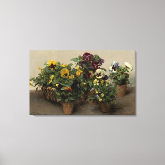 Henri Fantin-Latour  Pansies Paars Geel Canvas Afdruk (Voorkant)