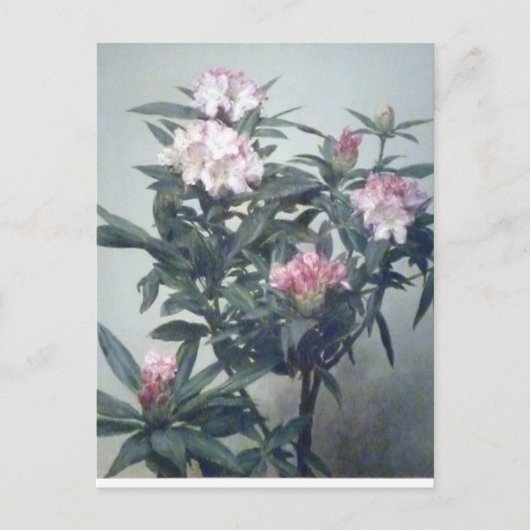 Henri Latour Blooming Rhododendron Branch Briefkaart (Voorkant)