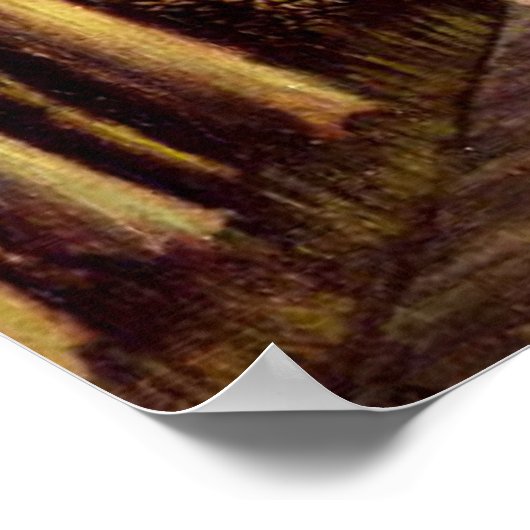 Henri Rousseau art: De oise-banken Poster (Hoek)