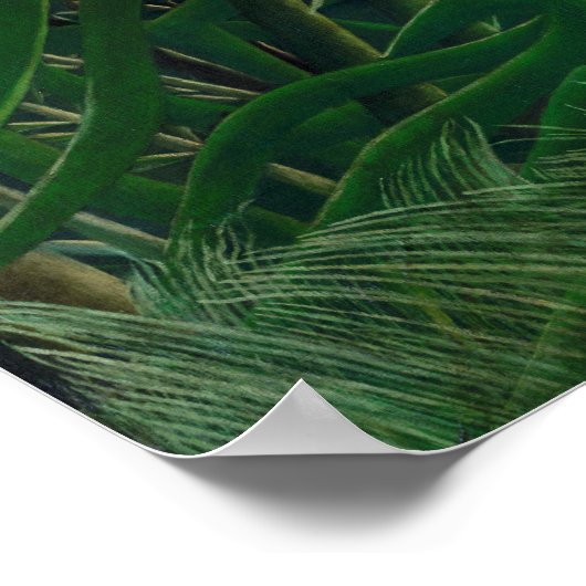 Henri Rousseau de Botanische Gar van het Equatoria Poster (Hoek)