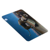 Henri Rousseau - De slapende zigeuner Magneet (Rechterzijde)