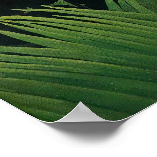 Henri Rousseau - Exotisch landschap Poster (Hoek)