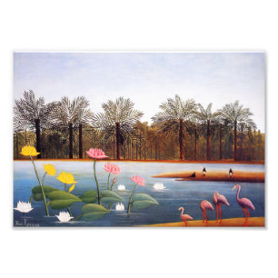 Henri Rousseau Flamingoes Print Foto Afdruk