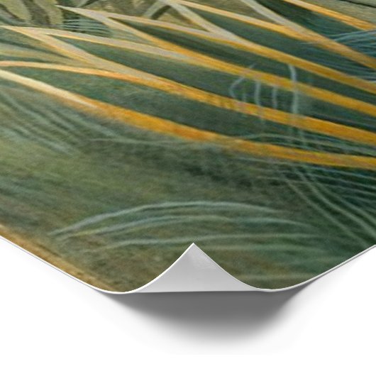 Henri Rousseau Het Equatoriaal Oerwoud Poster (Hoek)