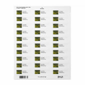 Henri Rousseau - Overrascht! Etiket (Full Sheet)