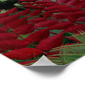 Henri Rousseau - Tropisch bos met apen Poster (Hoek)