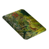 Henri Rousseau - Verrassd! Magneet (Rechterzijde)