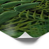 Henri Rousseau - Vrouw aan het wandelen in een exo Poster (Hoek)