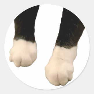 Henri Sticker - Voeten!