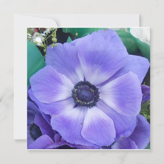 Henrietta (Voorkant)