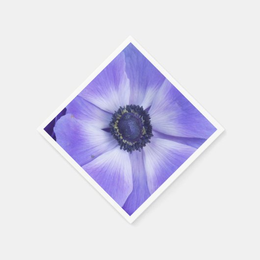 Henrietta Servetten (Hoek)